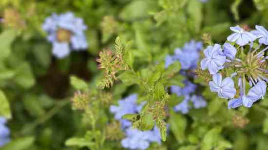 超拽霸气情侣网名