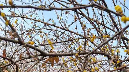 零号任务cp名字