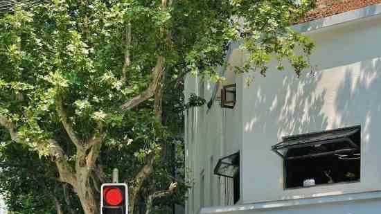 忘川风华录cp名