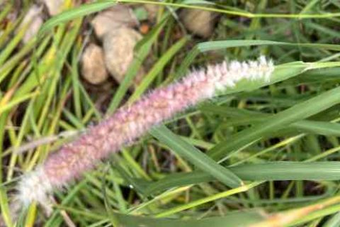 大唐无双游戏名字大全个性游戏名字分享！