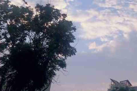 海岛奇兵id名字个性游戏名字分享！