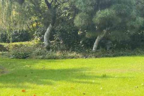 节奏空间可爱女生昵称女生游戏名字分享！