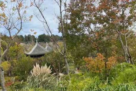 王牌竞速cp名字游戏情侣名字分享！