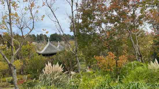 王牌竞速cp名字