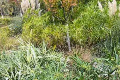 命运方舟游戏名字男男生游戏名字分享！