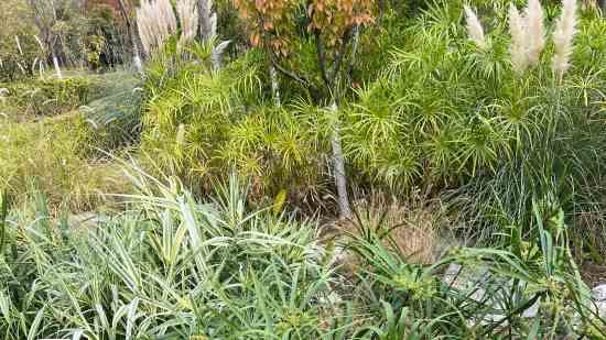 命运方舟游戏名字男