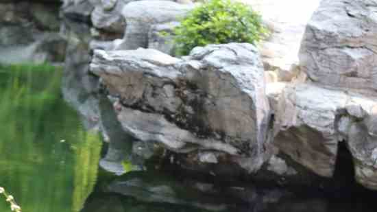 无畏契约适合女生的名字