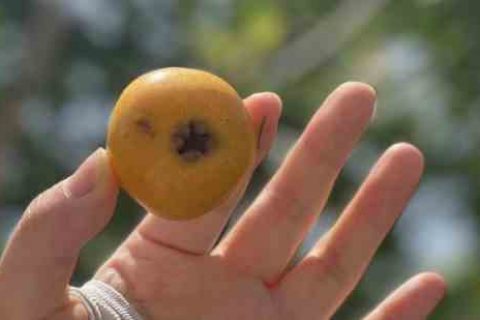 猎魂觉醒名字女女生游戏名字分享！