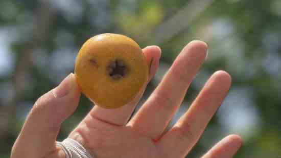 猎魂觉醒名字女