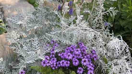 机动都市阿尔法男生游戏名字