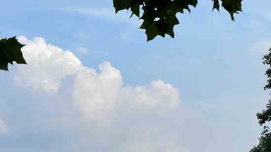 光与夜之恋好听的游戏名字分享