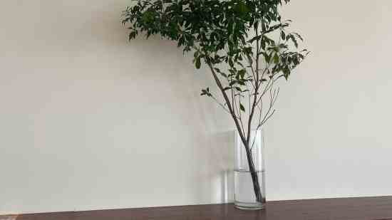 萤火突击情侣名字大全