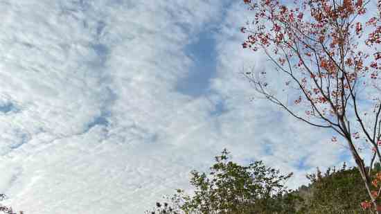 有杀气童话2可爱名字