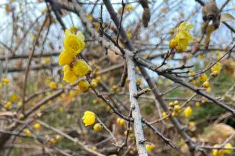 萤火突击游戏名男男生游戏名字分享！