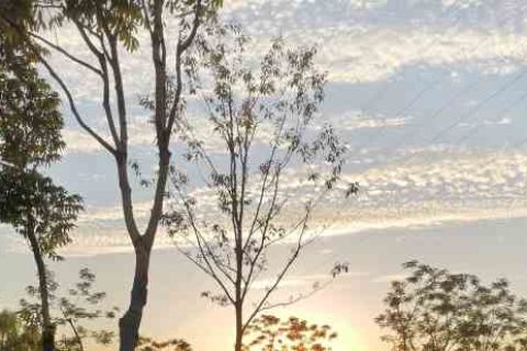 天下3名字大全男男生游戏名字分享！