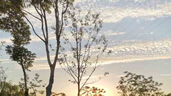 天下3名字大全男