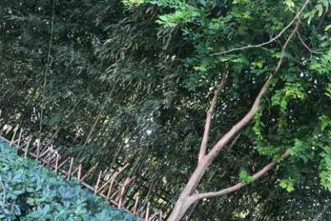 暗区突围双字id个性游戏名字分享！