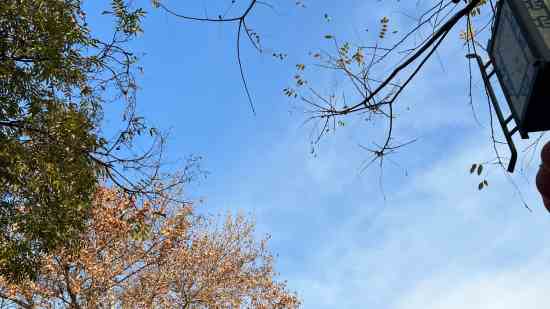 白夜极光昵称女生