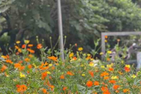 三国如龙传3个字游戏名个性游戏名字分享！