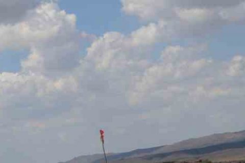 机动都市阿尔法女生游戏名字女生游戏名字分享！