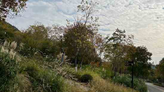 元梦之星昵称女生简单气质