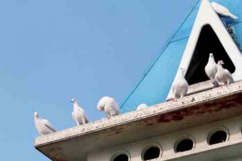 零号任务名字大全个性游戏名字分享！