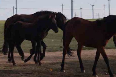 好听的qq游戏情侣名字游戏情侣名字分享！