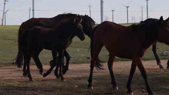 好听的qq游戏情侣名字