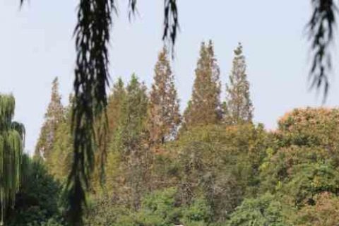 逆战游戏名字大全个性游戏名字分享！