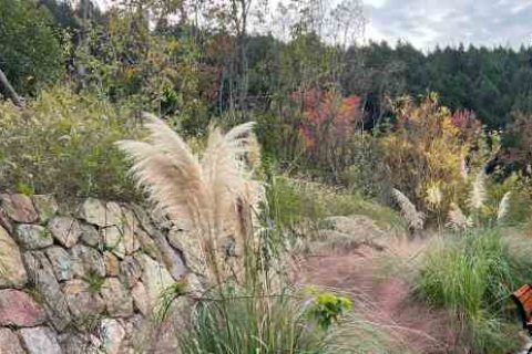 奇迹觉醒情侣名字游戏情侣名字分享！