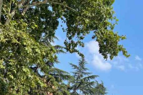 重返帝国cp名字游戏情侣名字分享！