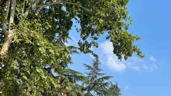 重返帝国cp名字