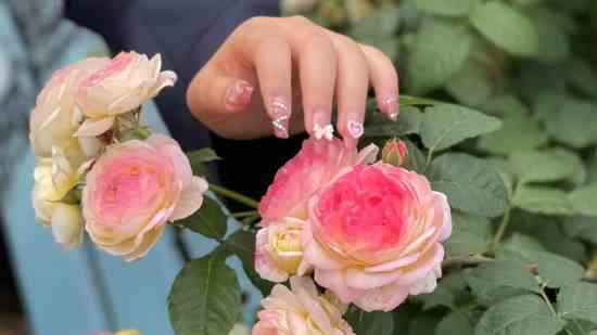 天谕手游好听的id