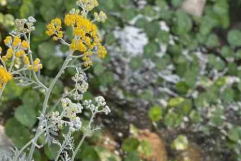 影之诗7字游戏名字个性游戏名字分享！