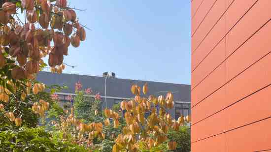 七日世界情侣名两个字