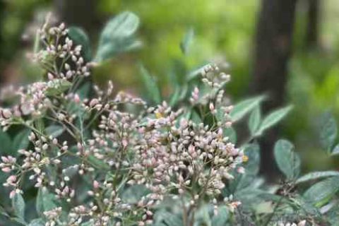 有杀气童话2名字个性游戏名字分享！