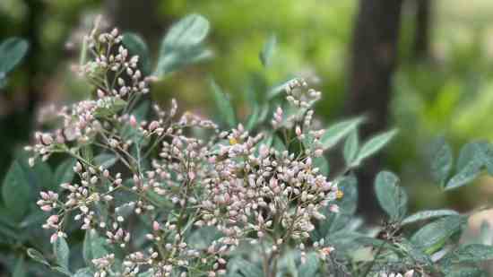 有杀气童话2名字