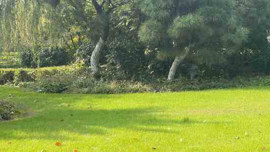 情侣游戏名字大全2026最新版