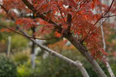 命运方舟好听的id