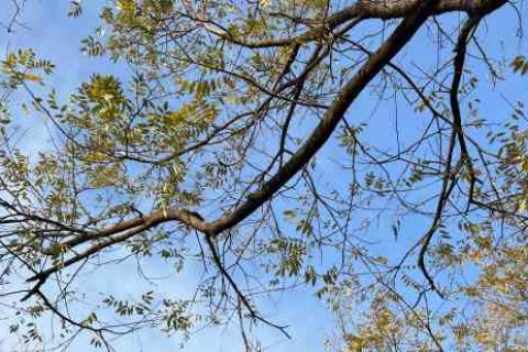 诛仙个性情侣名字游戏情侣名字分享！