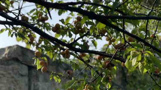 刀剑英雄帅气的名字